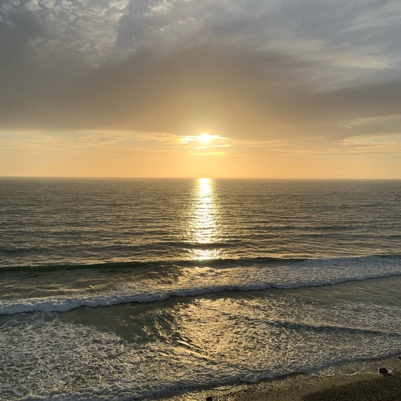 Meet your Posher, Patti - Picture 15 of 16